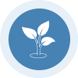White plant icon on blue circular background.
